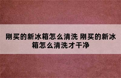 刚买的新冰箱怎么清洗 刚买的新冰箱怎么清洗才干净